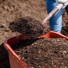 Bark Mulch