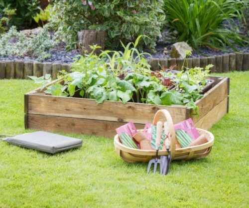 5 New Year's Resolutions For You and Your Garden