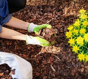 5 Garden Maintenance Tasks To Keep On Top Of