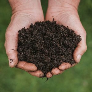 A Guide To Using Compost, Soil, and Bark In Your Garden